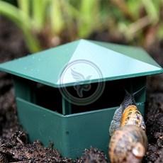 더가몽 달팽이 집 달팽이사육기