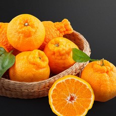 [귤담원] 제주 명품 한라봉, 1박스, 02.한라봉 3kg 중대과(12-14과)