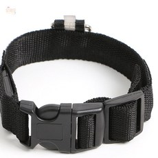 오쎄오라이브 LED 반려견 강아지 목줄S 강아지목줄리드줄