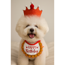 바모펫 강아지 고양이 생일 목걸이 왕관 생일파티세트 반려동물 생일 파티 숫자스티커, 1개, 레드