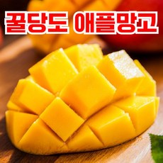 꿀당도 특상급 애플망고 항공직송 선별상품, 1박스, 1kg