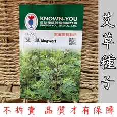 農友種苗 KNOWN-YOU 艾草種子 家庭園藝栽培 易種植香草植物 高發芽率 約100粒, 1個, 艾草種子 一包