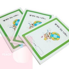 PH 두뇌계발 유아사고력 어린이집그림공부 2번