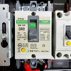 동양탑 주택용 배선차단기 DBE-52F 5kA 단상2P, 40A, 1개