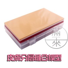 分層皮膚模型 縫合練習 醫學教學 護理學習, 1個, 分層皮膚模型ARJP