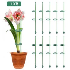 루베이 조립식 화분 식물 지지대 오링 + 높이조절 연장봉 줄기 고정 엉킴 방지 난초/장미/백합, 10개