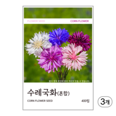 수레국화(혼합) 씨앗 400립, 3개