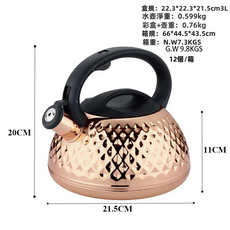 VANLUEE 不鏽鋼鳴音電熱水壺, 1個, 3L（4218）:60, 1L