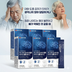 단어가 생각나지 않아 답답할땐 포스파티딜세린PS 비타민K2 6박스 3개월분, 6개, 30g