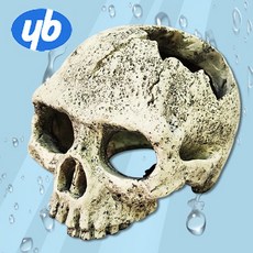 다팜아쿠아 YB 와이비 ZJ-12 심해 대형 해골 레이아웃 놀이터 은신처 장식품 (15x13x12cm)