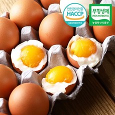 [무항생제/HACCP]웰굿 촉촉한 반숙계란 반숙란 30구(1판), 1세트