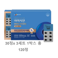 CJ 아이시안 루테인 지아잔틴 플러스케어 세트 눈건강 11중 기능성, 1세트, 120정