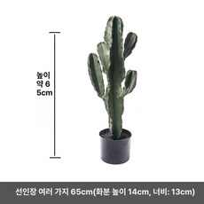 중형 인조 선인장 조화 실내 조경 화분 플랜테리어 인테리어, 1개, Q. 블랙스파이크 중형 선인장 65cm