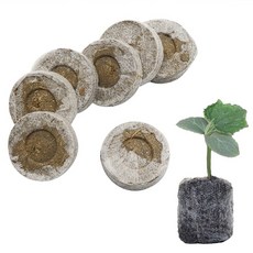 반디팜 원예용 상토 지피펠렛 44mm 40p, 1세트