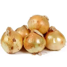 25년 국내 햇 양파 5kg(중사이즈)