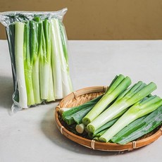세척대파 손질대파 국내산 당일손질 가정용 업소용 식자재, 1kg, 1개