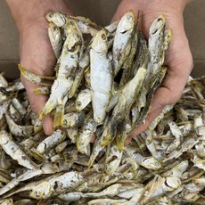 [삼대원] 국내산 고노리 국물용 육수용 업소용, 1개, 700g