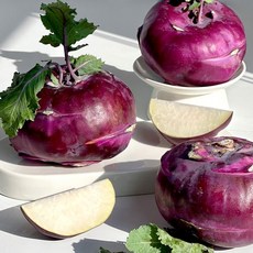 [프레쉬서비스] 제주 콜라비 2kg(알뜰혼합과), 없음