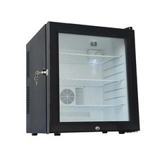 냉장고 20L 주류 보관용 의약품 저장고 시약장, 기본 모델명/품번, 40L 이중 잠금