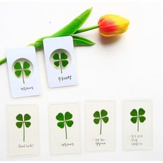 영초이스 네잎클로버 생화 코팅 x 3개 합격 기원 선물 행운 메세지 책갈피 행운카드, Good Luck x 3개 (낱개 투명-골드봉투)