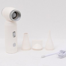 슈틸루스터 무선 파워 에어건 휴대용 청소기, WHITE, ST AG100W