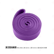 生活小集 TPE專業健身阻力帶, 1個, 資深款 紫色 40-90磅