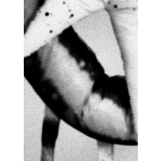 韓尚雅(Sang A Han)： 尖銳的溫暖(Pointed Warmth), Foundry 首爾, FOUNDRY SEOUL