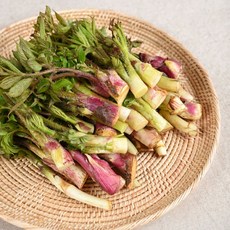 남해 땅두릅 독활 두릅, 1개, 2kg