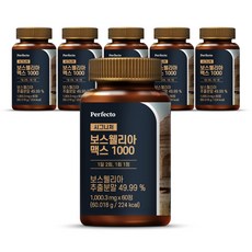 퍼펙토 시그니처 보스웰리아 맥스 1000, 60정, 6개