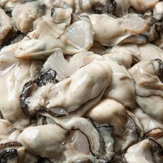 바다의 우유 통영 생굴, 1개, 1kg