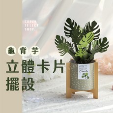 龜背芋立體卡片, 1個