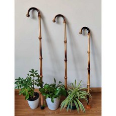 명아주 명아주지팡이 선물 청려장 나무 목발 어르신, 1개