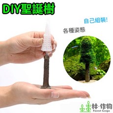 林作物 水草造景 DIY MOSS造景樹 莫斯樹 聖誕樹 莫絲造型樹 莫絲聖誕樹 綁水草 造景裝飾 鹿角苔, 莫斯樹(無莫斯), 綠色