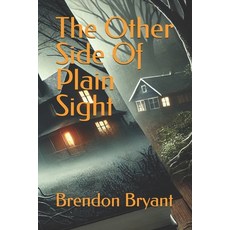 (영문도서) The Other Side Of Plain Sight Paperback, Independently Published, English, 9798337820057