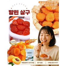 새콤달콤 맛 말린 살구 씨 없는 무설탕 말린 살구 전통 맛 말린 살구, 100g/봉지