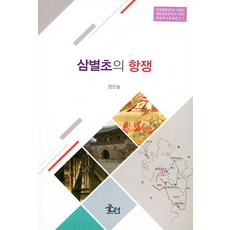 Geulteo 三別抄的抗爭, 鄭鎭述