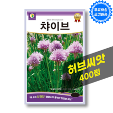 허브 차이브 씨앗 Chive 종자 허브 씨앗 허브키우기 종자, 1개