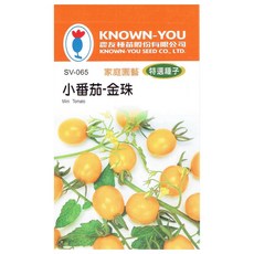 KNOWN-YOU 小番茄-金珠 種子 家庭園藝 特選種子, 1個