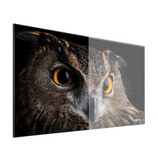 Grandview Dynamique ALR 4K全彩抗光幕, PE-L92 - 92吋(16:9)