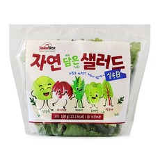 [샐러드박스] 자연 담은 샐러드 100 g 실속B 단품구성 야채믹스 샐러드, 5개, 100g