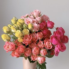 미니장미 스프레이장미 생화 양재꽃시장 꽃배송 정기구독 오래가는 향기좋은 꽃, 주황, 1개