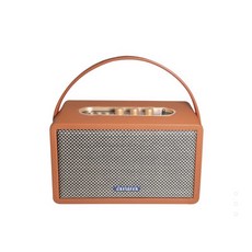 AIWA 愛華 RS-X100 Natsukasii Pro 藍牙喇叭 40W DSP音效 TWS雙聲道 棕色便攜音箱, 棕色