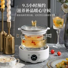 廠家下殺 多功能養生壺泡茶壺玻璃壺家用燕窩機花茶壺迷你全自動110V美規, DG15-1.5L智能款單壺+單鍋+燉,220V歐規插頭現貨