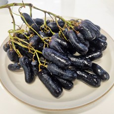 <달콤과일> 고당도 프리미엄 블랙사파이어 포도, 1박스, 500g