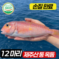 조에농원 당일발송 제주도 손질 통 옥돔, 1박스, 통옥돔 12마리(1.6kg이상)