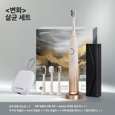 누마 전동칫솔 플라그제거 어르신 회전 깔끔 선물 음파진동, 살균트랜스포머블루듀얼