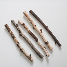 나뭇가지 자작 나무가지 마크라메 행잉 데코 소품 diy 20cm, 두꺼운타입(지름1-1.5cm)