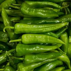 [금성식품]중국식품 중국고추 동부매운고추 라메이즈 라죠 500g, 1개