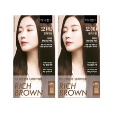 다나한 PPD없는 한방 새치 염색약, N5 진한갈색, 2개
