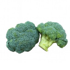 신선 수입 브로콜리 8kg 식자재 업소용 대용량 수입전문업체 유어컨, 1박스
